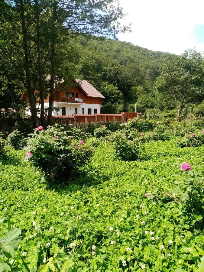 Livada Amely Otel Gales Dış mekan fotoğraf