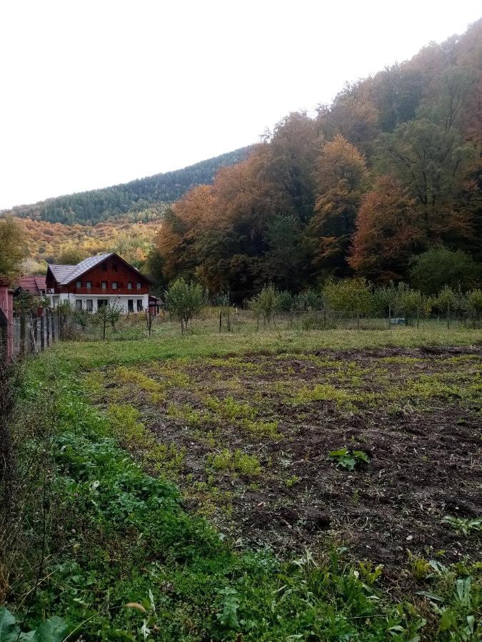 Livada Amely Otel Gales Dış mekan fotoğraf